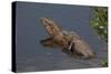 Gator Alley At The D'Olive Boardwalk Park In Daphne, Alabama-Carol Highsmith-Stretched Canvas