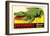 Gator from Okefenokee Swamp Park-null-Framed Art Print