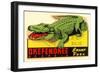 Gator from Okefenokee Swamp Park-null-Framed Art Print