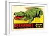 Gator from Okefenokee Swamp Park-null-Framed Art Print