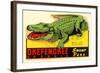 Gator from Okefenokee Swamp Park-null-Framed Art Print