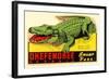 Gator from Okefenokee Swamp Park-null-Framed Art Print