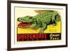 Gator from Okefenokee Swamp Park-null-Framed Premium Giclee Print