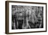 Gator Hook-Dennis Goodman-Framed Photographic Print