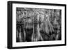 Gator Hook-Dennis Goodman-Framed Photographic Print