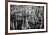 Gator Hook-Dennis Goodman-Framed Photographic Print
