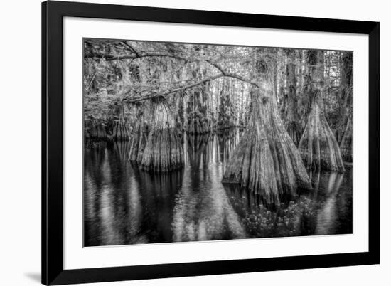 Gator Hook-Dennis Goodman-Framed Photographic Print