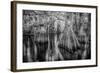 Gator Hook-Dennis Goodman-Framed Photographic Print