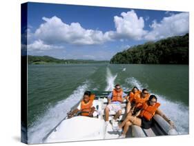 Gatun Lake, Soberania Forest National Park, Panama Canal, Panama, Central America-Sergio Pitamitz-Stretched Canvas