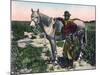 Gaucho, Argentina, Early 20th Century-null-Mounted Giclee Print