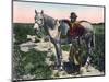 Gaucho, Argentina, Early 20th Century-null-Mounted Giclee Print