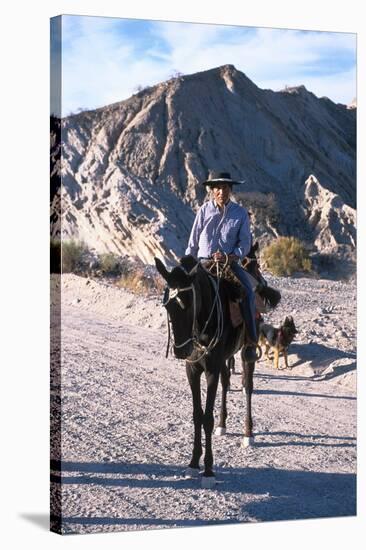 Gaucho in Quebrada de las Flechas near Salta, Argentina-null-Stretched Canvas