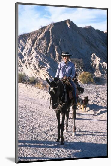 Gaucho in Quebrada de las Flechas near Salta, Argentina-null-Mounted Art Print