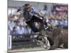 Gaucho, or Cowboy, is Thrown from a Horse as He Competes in a Rodeo in Montevideo-null-Mounted Photographic Print