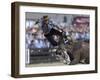 Gaucho, or Cowboy, is Thrown from a Horse as He Competes in a Rodeo in Montevideo-null-Framed Photographic Print