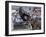 Gaucho, or Cowboy, is Thrown from a Horse as He Competes in a Rodeo in Montevideo-null-Framed Photographic Print