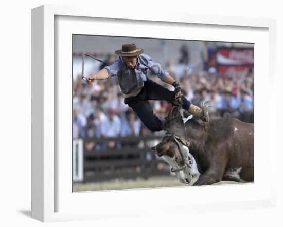 Gaucho, or Cowboy, is Thrown from a Horse as He Competes in a Rodeo in Montevideo-null-Framed Photographic Print