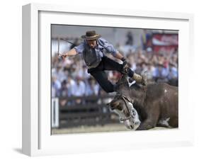 Gaucho, or Cowboy, is Thrown from a Horse as He Competes in a Rodeo in Montevideo-null-Framed Photographic Print