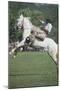 Gaucho Riding on Horseback in Argentina-null-Mounted Photographic Print