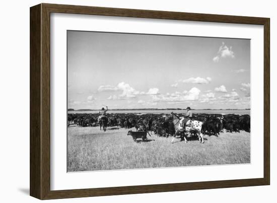 Gauchos at Work-Mario de Biasi-Framed Giclee Print