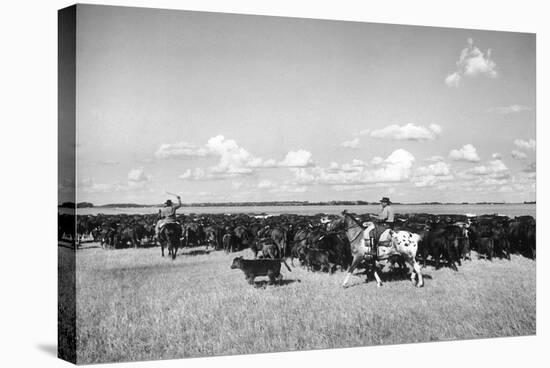 Gauchos at Work-Mario de Biasi-Stretched Canvas