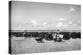 Gauchos at Work-Mario de Biasi-Stretched Canvas