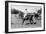 Gauchos on Horseback-Walter Mori-Framed Premium Giclee Print