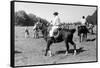 Gauchos on Horseback-Walter Mori-Framed Stretched Canvas