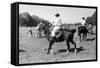 Gauchos on Horseback-Walter Mori-Framed Stretched Canvas