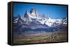 Gauchos Riding Horses and Herding Sheep with Mount Fitz Roy Behind, Patagonia, Argentina-Matthew Williams-Ellis-Framed Stretched Canvas