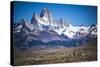 Gauchos Riding Horses and Herding Sheep with Mount Fitz Roy Behind, Patagonia, Argentina-Matthew Williams-Ellis-Stretched Canvas