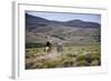 Gauchos Riding Horses, Patagonia, Argentina, South America-Yadid Levy-Framed Photographic Print