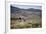 Gauchos Riding Horses, Patagonia, Argentina, South America-Yadid Levy-Framed Photographic Print