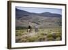 Gauchos Riding Horses, Patagonia, Argentina, South America-Yadid Levy-Framed Photographic Print