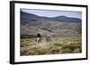 Gauchos Riding Horses, Patagonia, Argentina, South America-Yadid Levy-Framed Photographic Print