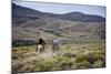 Gauchos Riding Horses, Patagonia, Argentina, South America-Yadid Levy-Mounted Photographic Print