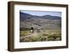 Gauchos Riding Horses, Patagonia, Argentina, South America-Yadid Levy-Framed Photographic Print