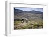 Gauchos Riding Horses, Patagonia, Argentina, South America-Yadid Levy-Framed Premium Photographic Print