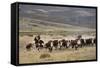 Gauchos with Cattle at the Huechahue Estancia, Patagonia, Argentina, South America-Yadid Levy-Framed Stretched Canvas