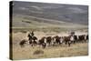 Gauchos with Cattle at the Huechahue Estancia, Patagonia, Argentina, South America-Yadid Levy-Stretched Canvas