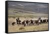Gauchos with Cattle at the Huechahue Estancia, Patagonia, Argentina, South America-Yadid Levy-Framed Stretched Canvas