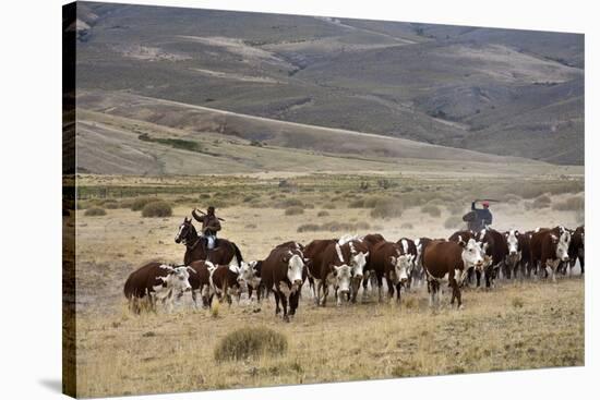 Gauchos with Cattle at the Huechahue Estancia, Patagonia, Argentina, South America-Yadid Levy-Stretched Canvas