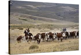 Gauchos with Cattle at the Huechahue Estancia, Patagonia, Argentina, South America-Yadid Levy-Stretched Canvas