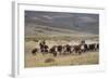 Gauchos with Cattle at the Huechahue Estancia, Patagonia, Argentina, South America-Yadid Levy-Framed Photographic Print