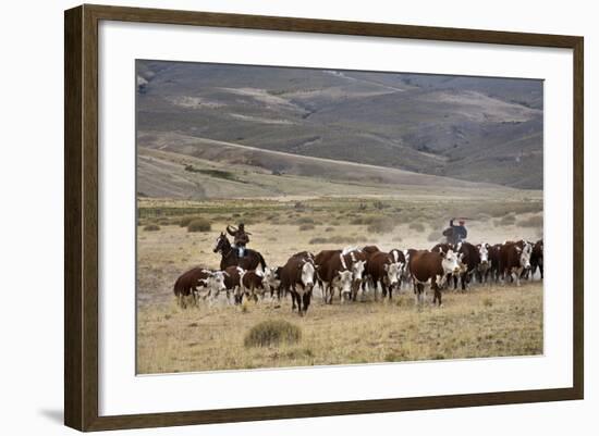 Gauchos with Cattle at the Huechahue Estancia, Patagonia, Argentina, South America-Yadid Levy-Framed Photographic Print