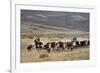 Gauchos with Cattle at the Huechahue Estancia, Patagonia, Argentina, South America-Yadid Levy-Framed Photographic Print