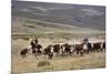 Gauchos with Cattle at the Huechahue Estancia, Patagonia, Argentina, South America-Yadid Levy-Mounted Photographic Print