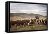 Gauchos with Cattle at the Huechahue Estancia, Patagonia, Argentina, South America-Yadid Levy-Framed Stretched Canvas