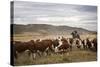 Gauchos with Cattle at the Huechahue Estancia, Patagonia, Argentina, South America-Yadid Levy-Stretched Canvas