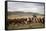 Gauchos with Cattle at the Huechahue Estancia, Patagonia, Argentina, South America-Yadid Levy-Framed Stretched Canvas